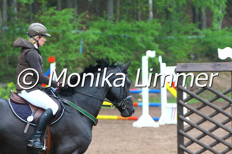 005L4706_Scheitan_Springpferde A xx.JPG